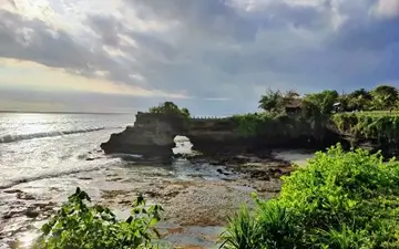 A deep and thought-provoking nature photograph by Tasveer