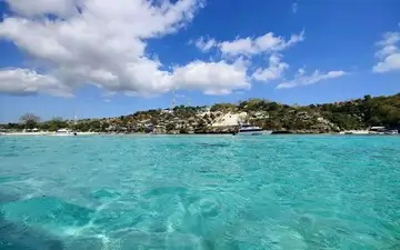 The complexity of the mind captured in nature by Tasveer